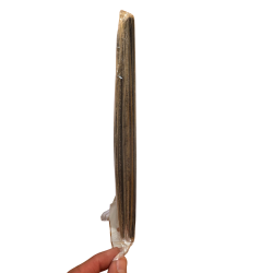 F Perfekte Poleringsresultater med Vrt Allsidige MinShitsu Sandpapirsett p120 til p5000 45 ark.